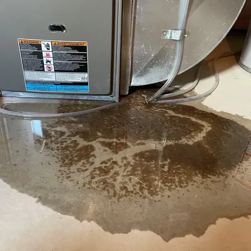 Appliance Leak Cleanup in Montpelier, OH